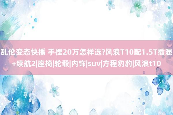 乱伦变态快播 手捏20万怎样选?风浪T10配1.5T插混+续航2|座椅|轮毂|内饰|suv|方程豹豹|风浪t10