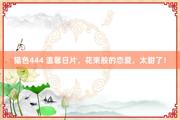 猫色444 温馨日片，花束般的恋爱，太甜了！