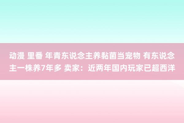 动漫 里番 年青东说念主养黏菌当宠物 有东说念主一株养7年多 卖家：近两年国内玩家已超西洋